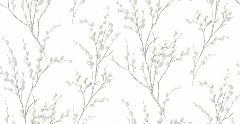 Pussy Willow Dove Grey