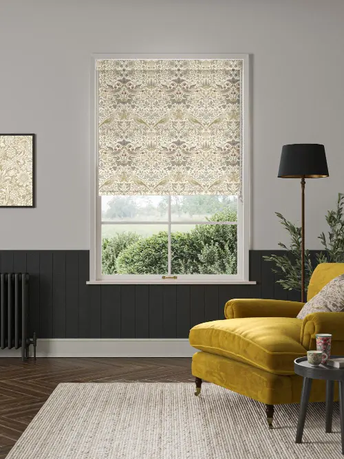 A Light-Filled Classic